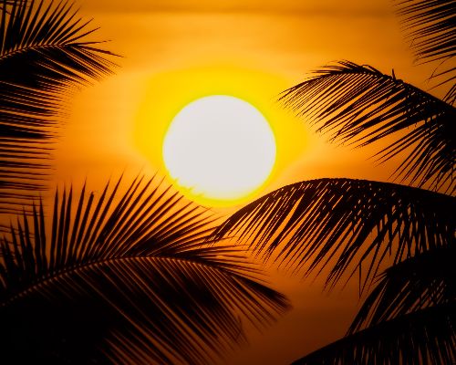 Lunettes et forte chaleur : protéger ses montures pendant la canicule