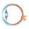 Presbytie à STRASBOURG (Opticien, optical, lunettes, lentilles)
